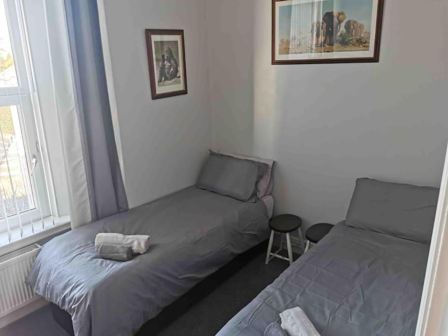 Number 7 Torquay Stunning Sea Views Apartamento Exterior foto