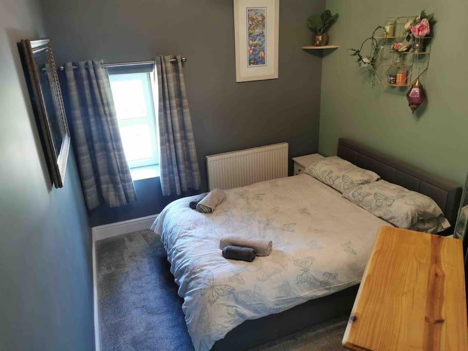 Number 7 Torquay Stunning Sea Views Apartamento Exterior foto